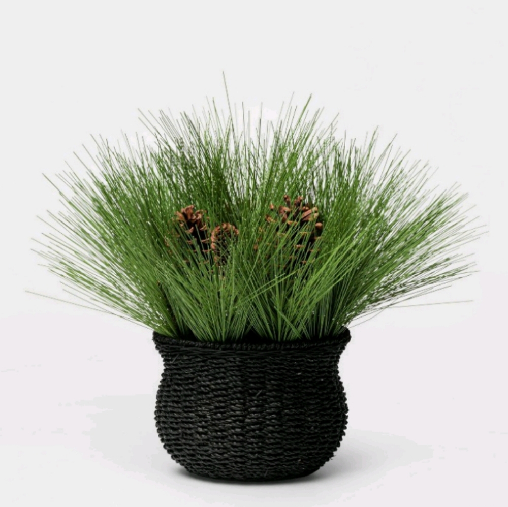 Project 62 Spruce & Pine Cone Arrangement